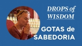 Gotas de Sabedoria / Drops of Wisdom